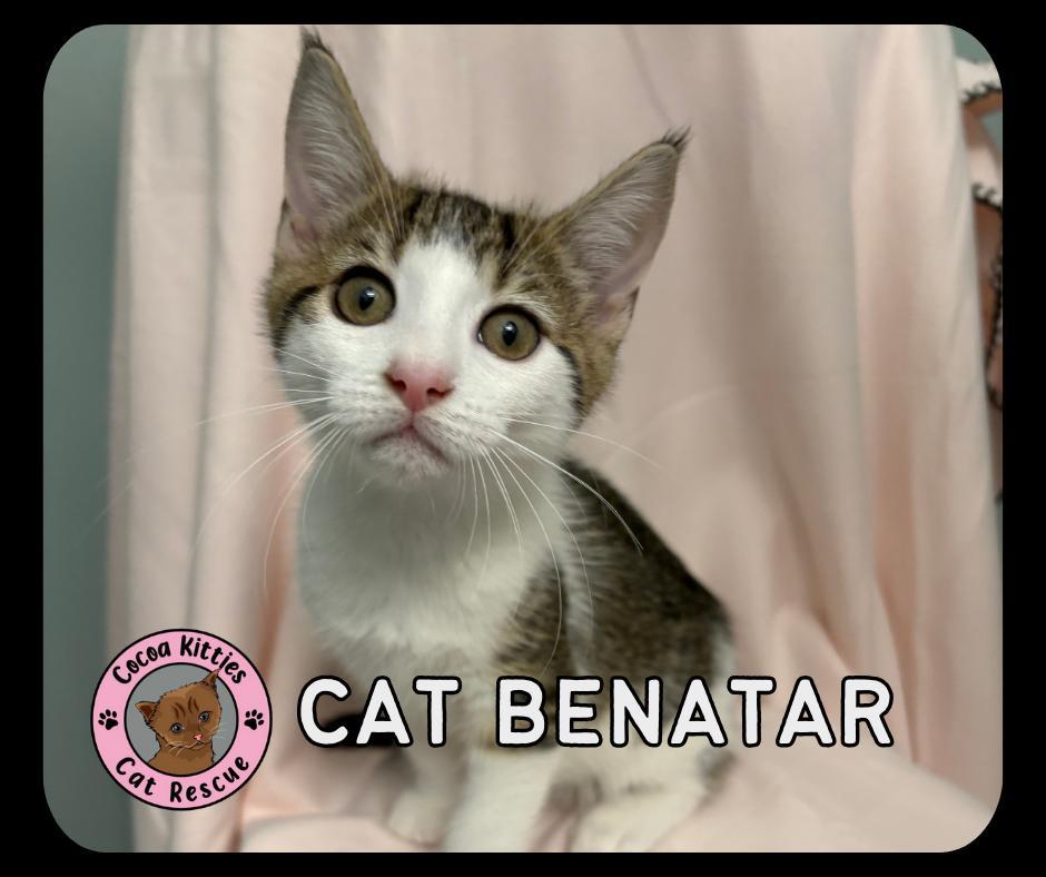 Cat Benatar
