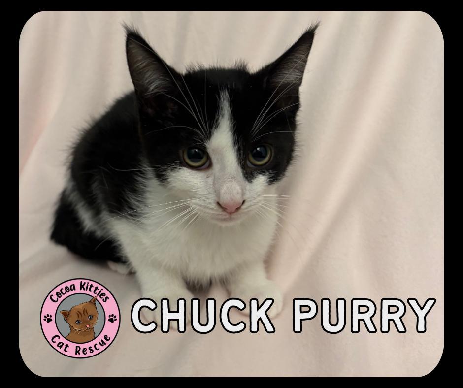 Chuck Purry