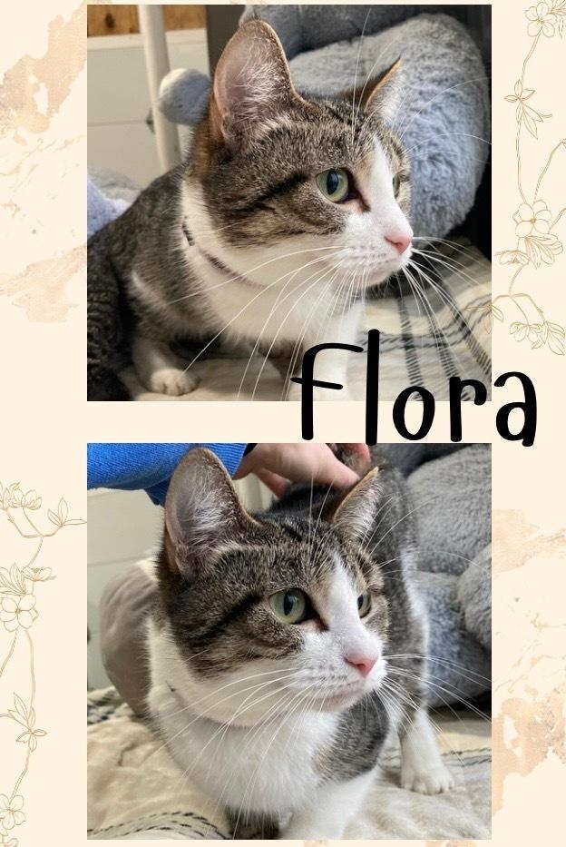 Flora