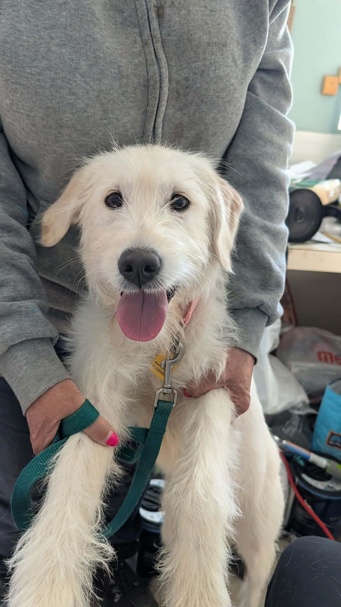 Charmnot Accepting Applications Yet!!!