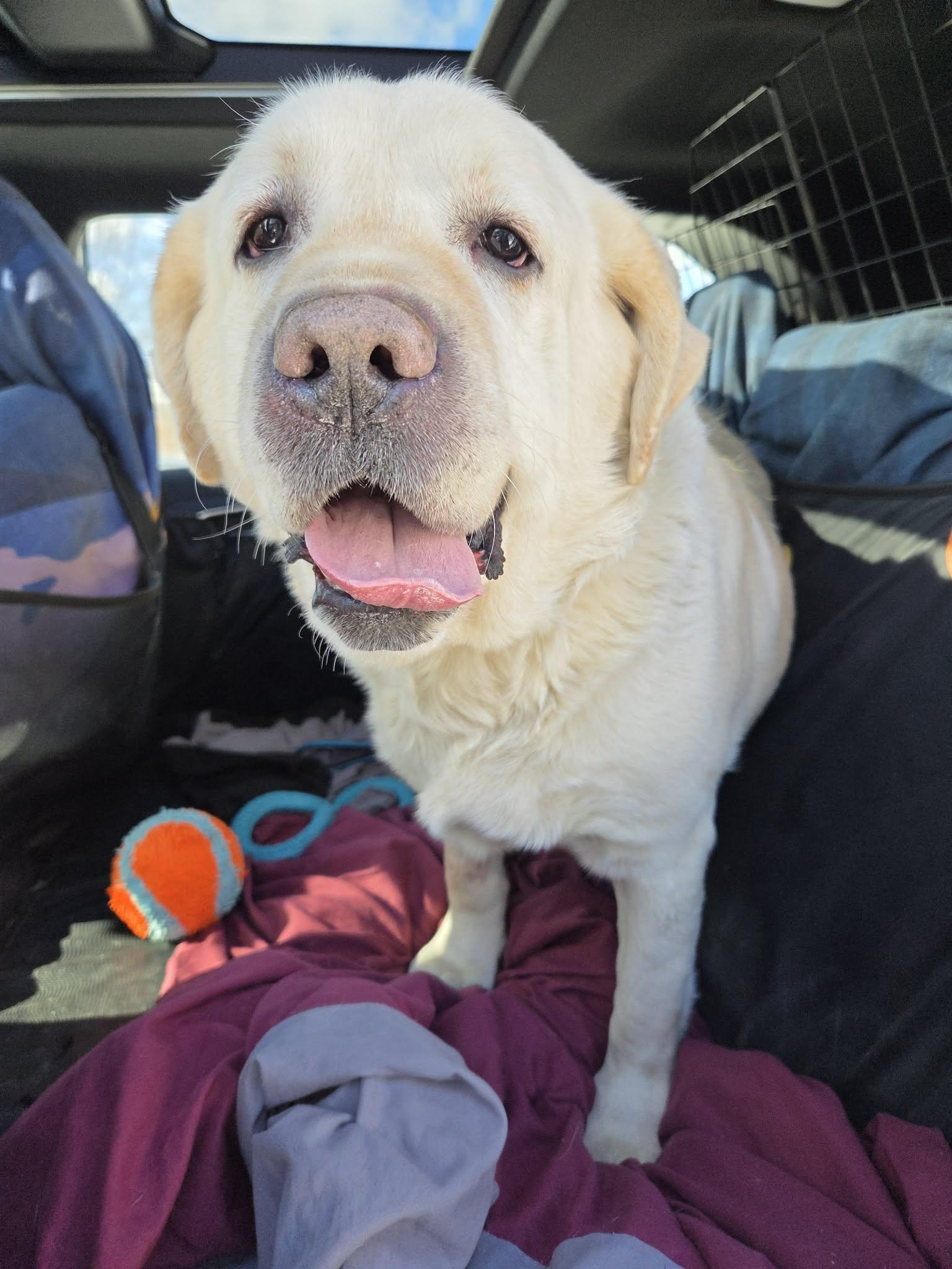 Max Mcgeenot Accepting Applications