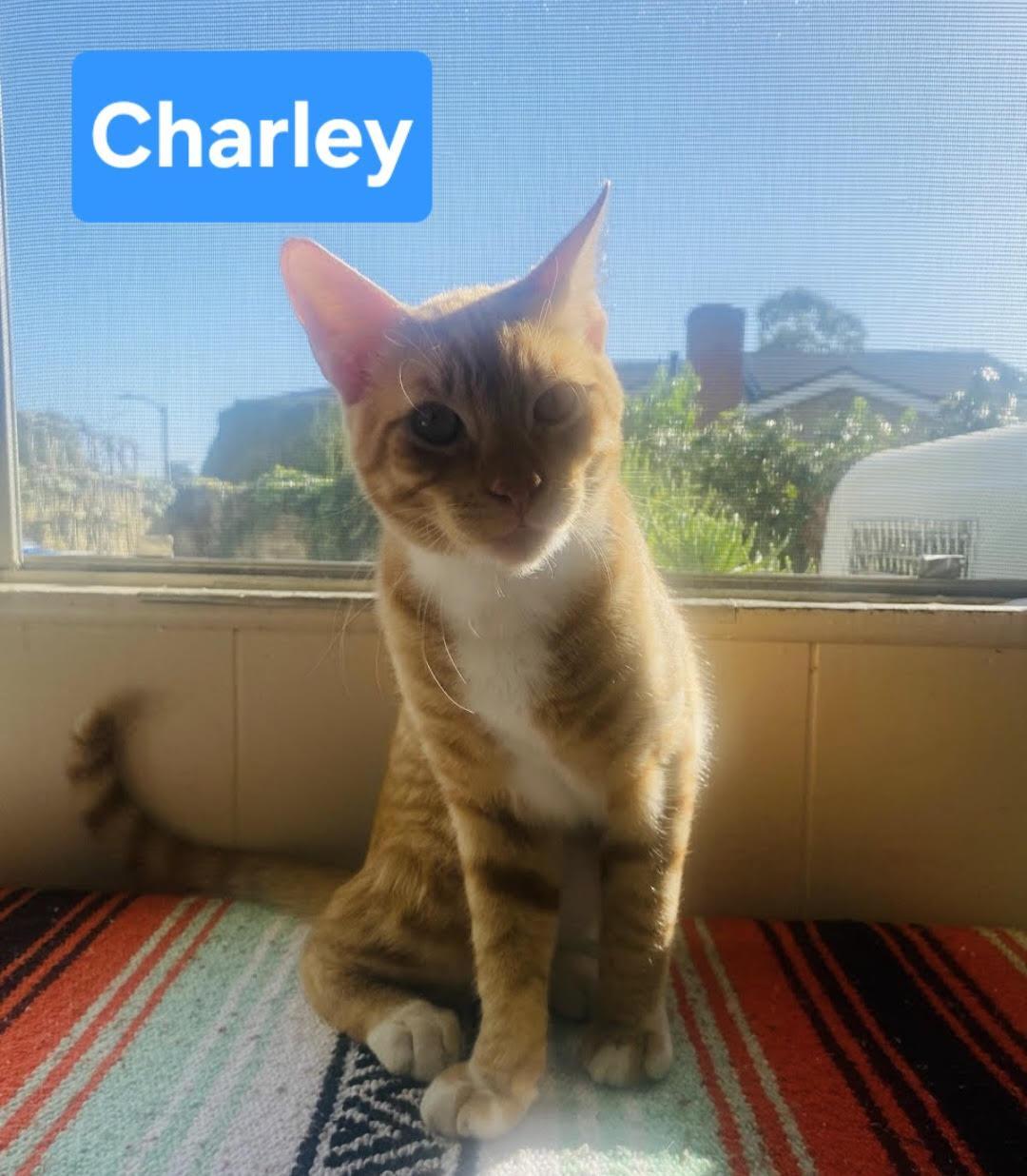 Charley