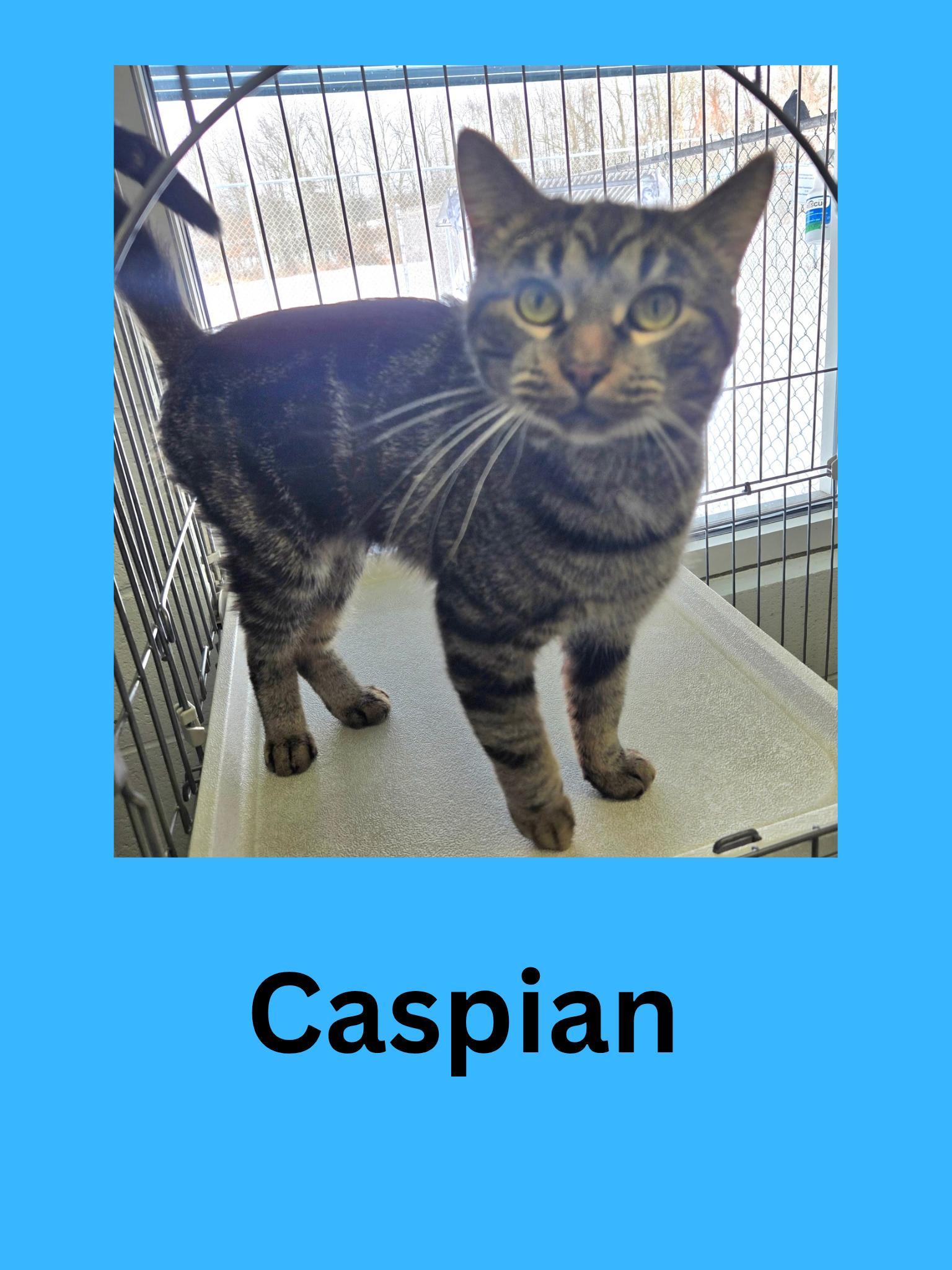 Caspian