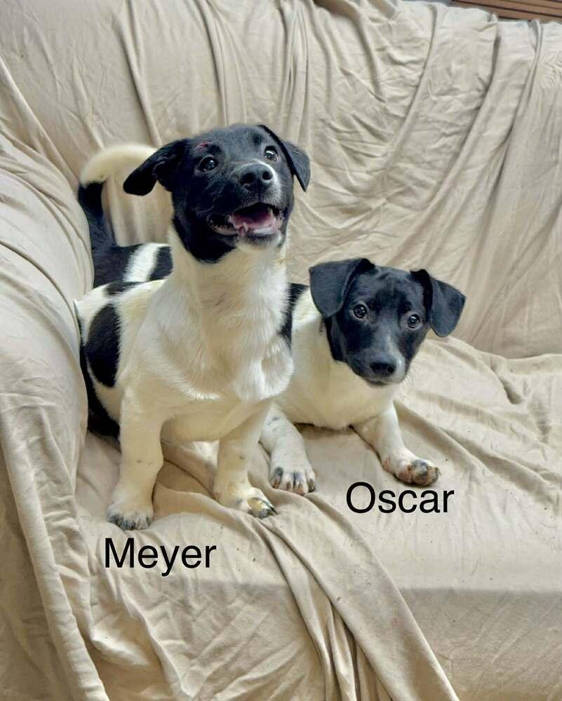 Oscar