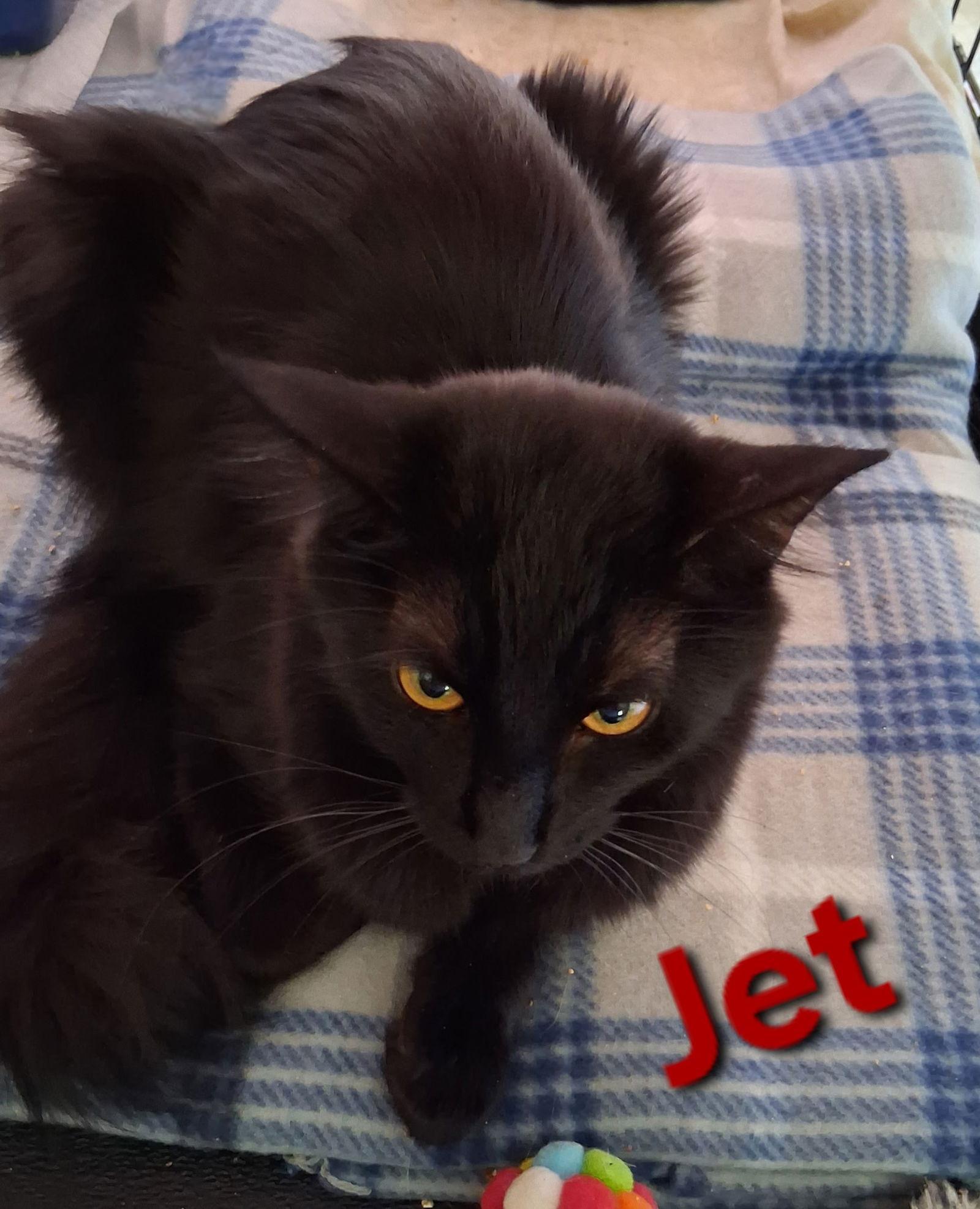 Jet
