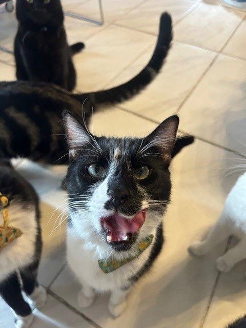 Kendrick Bonded With Drake