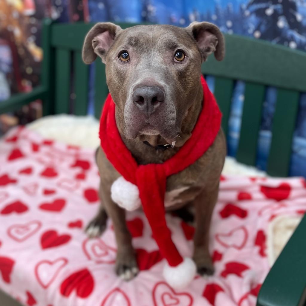 Malachi Gci Trained Graduate!!