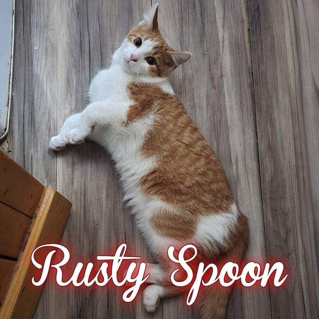 Rusty Spoon