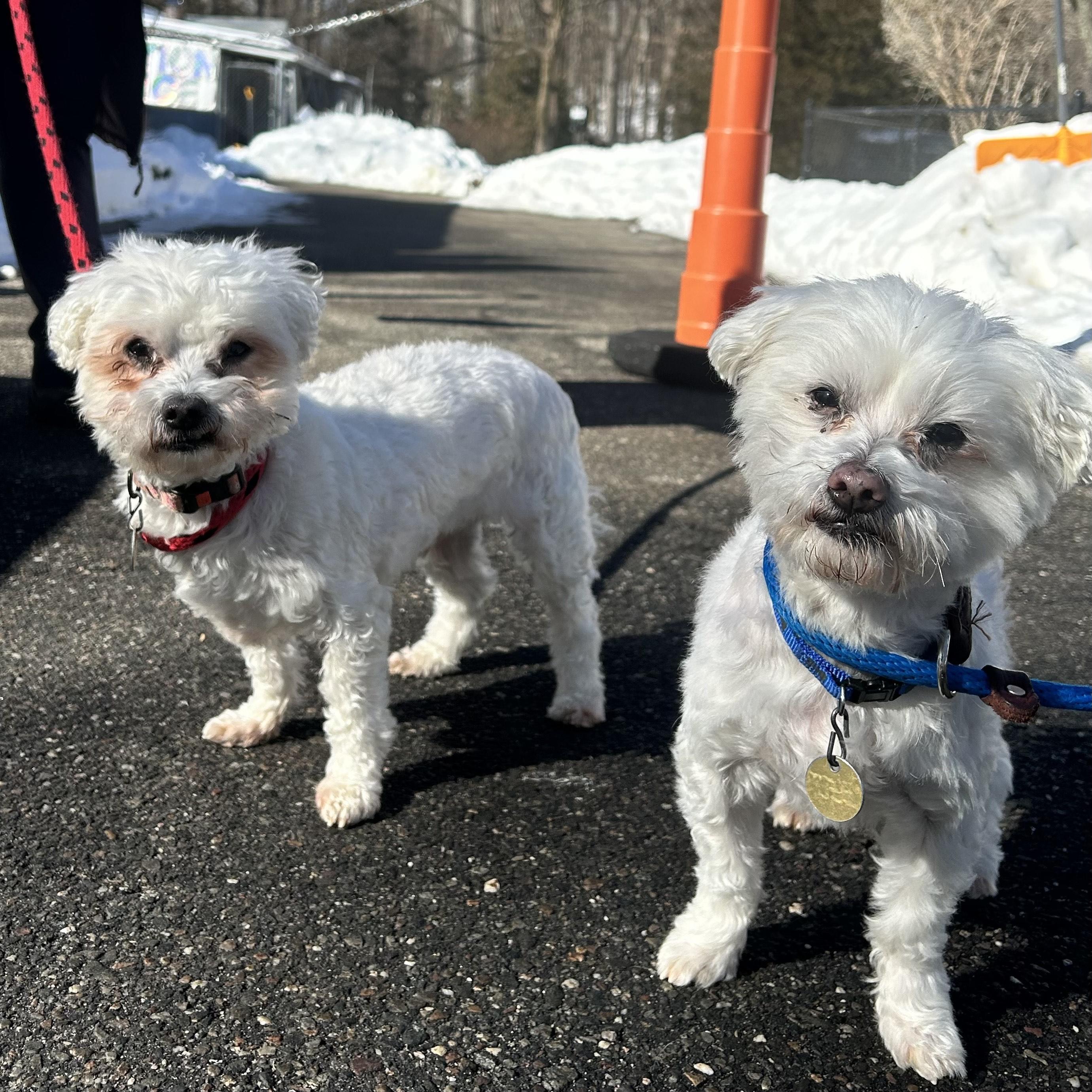 Pillsbury And Doughboy
