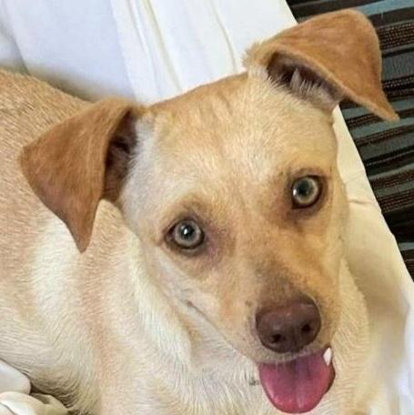 Camila Angelique "the Beach