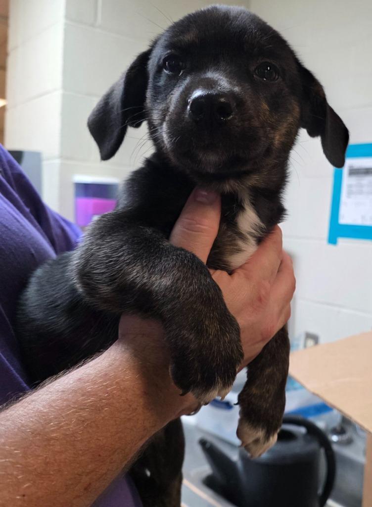 Jaqueline From Finance