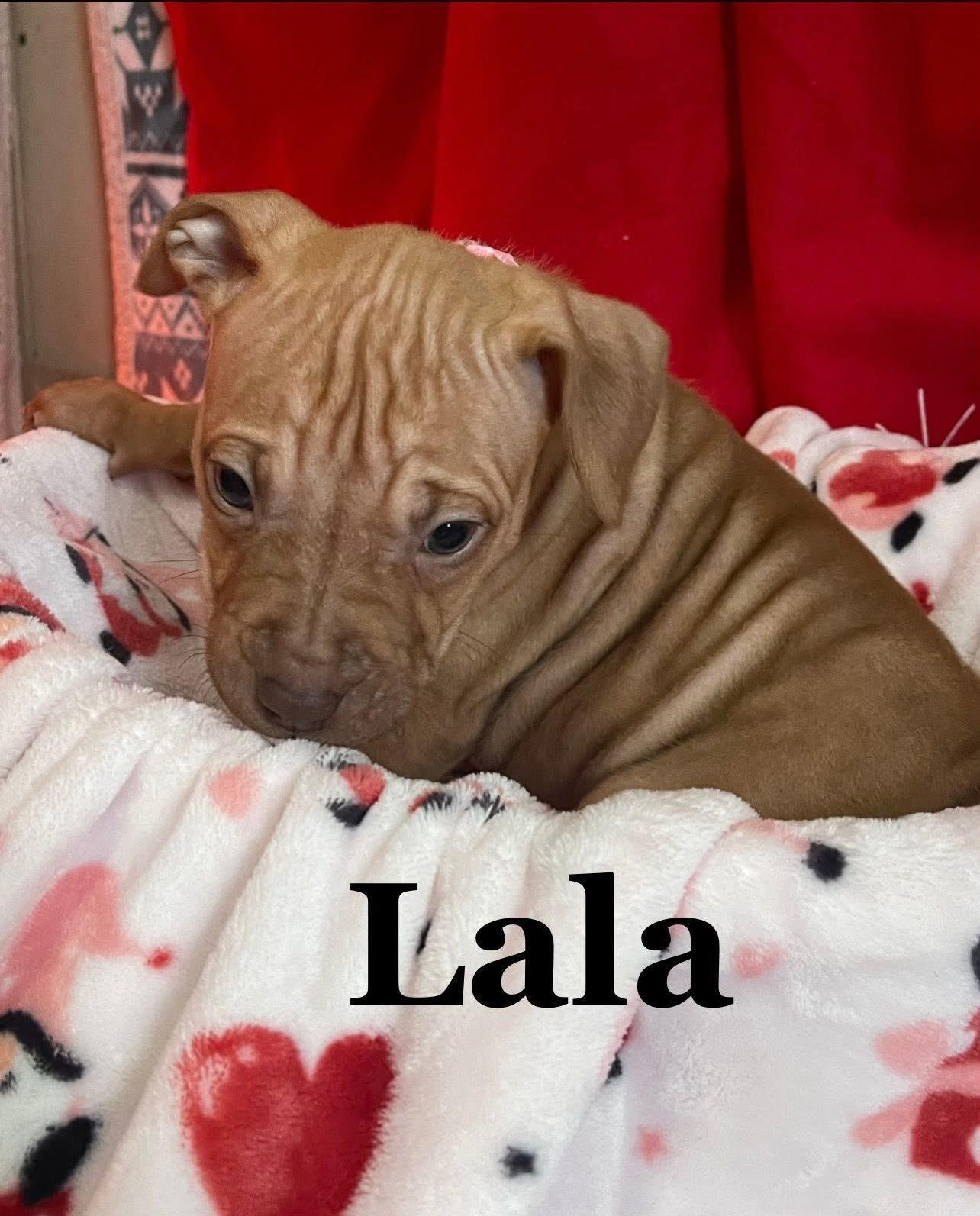 Lala