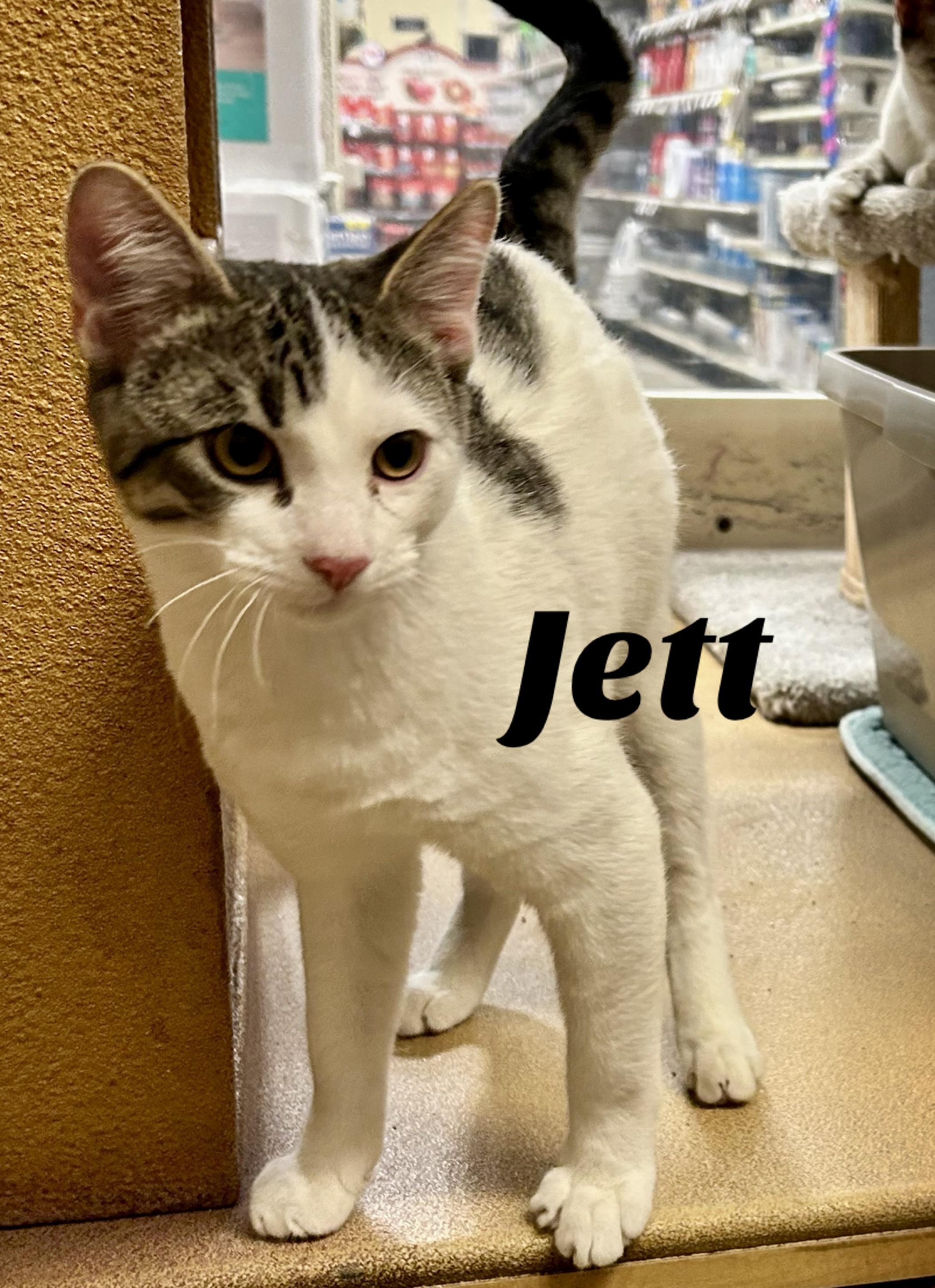 Jett