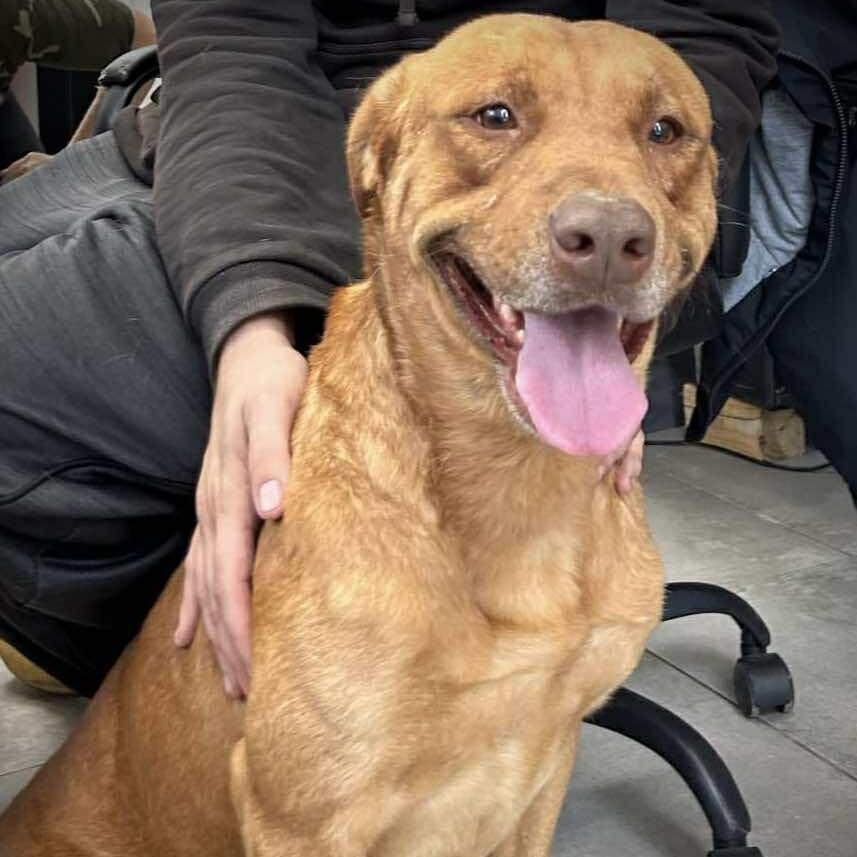 Carwash Buddy Lives At