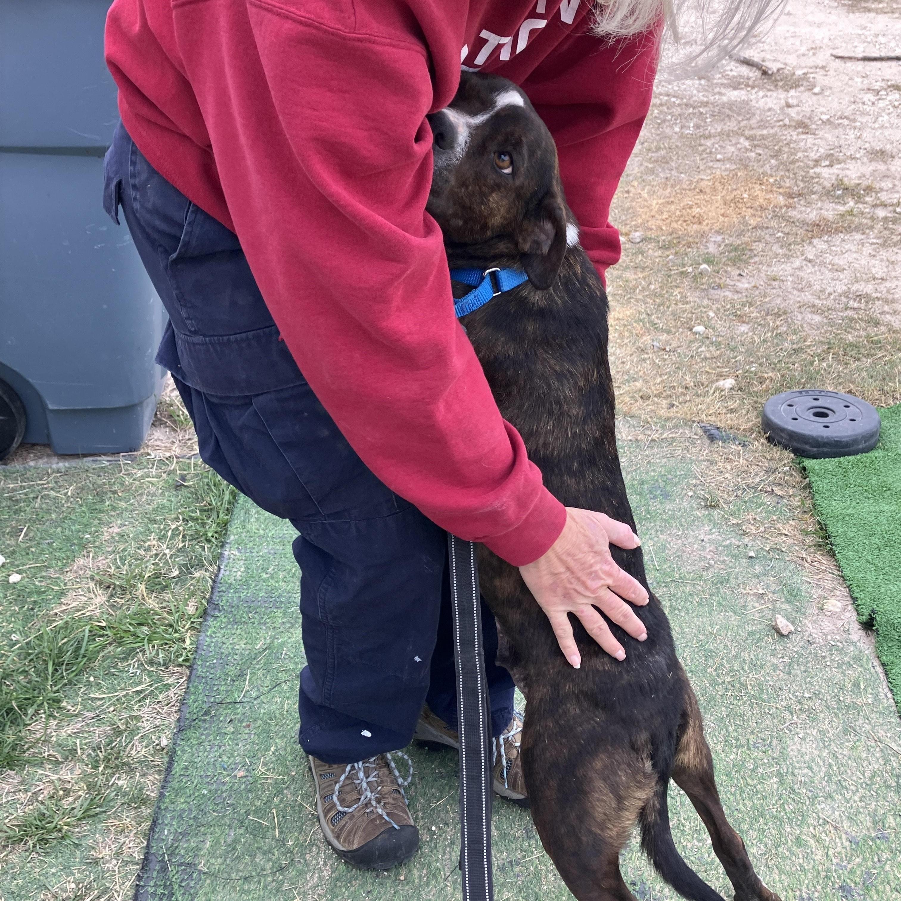 Laneychief Cuddle Officer