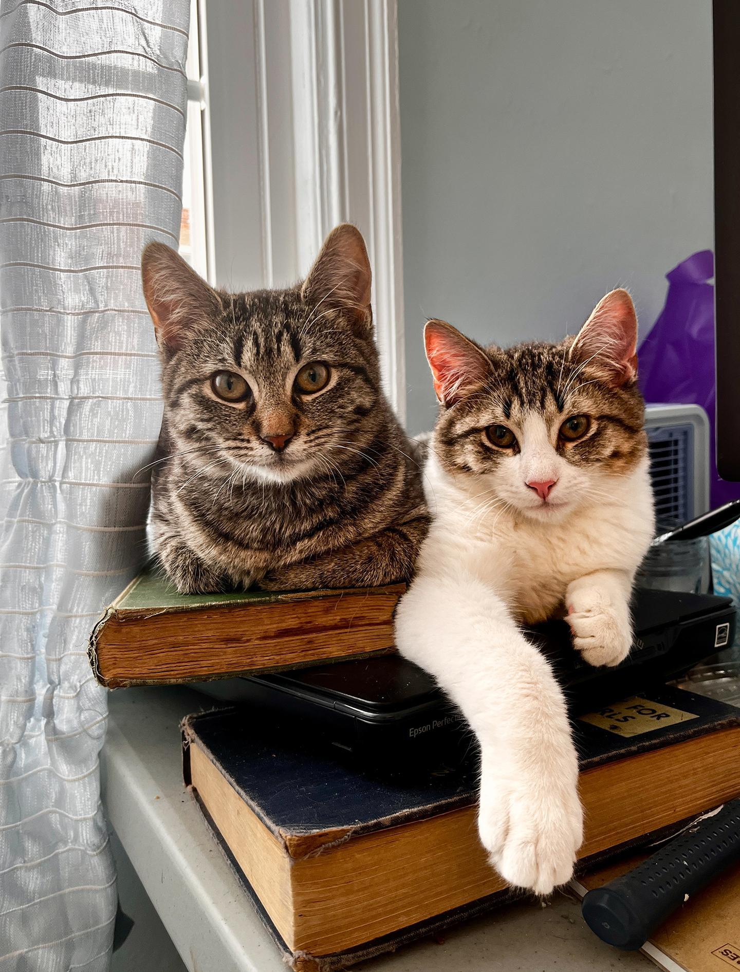 Willow And Rowan Woodcrest