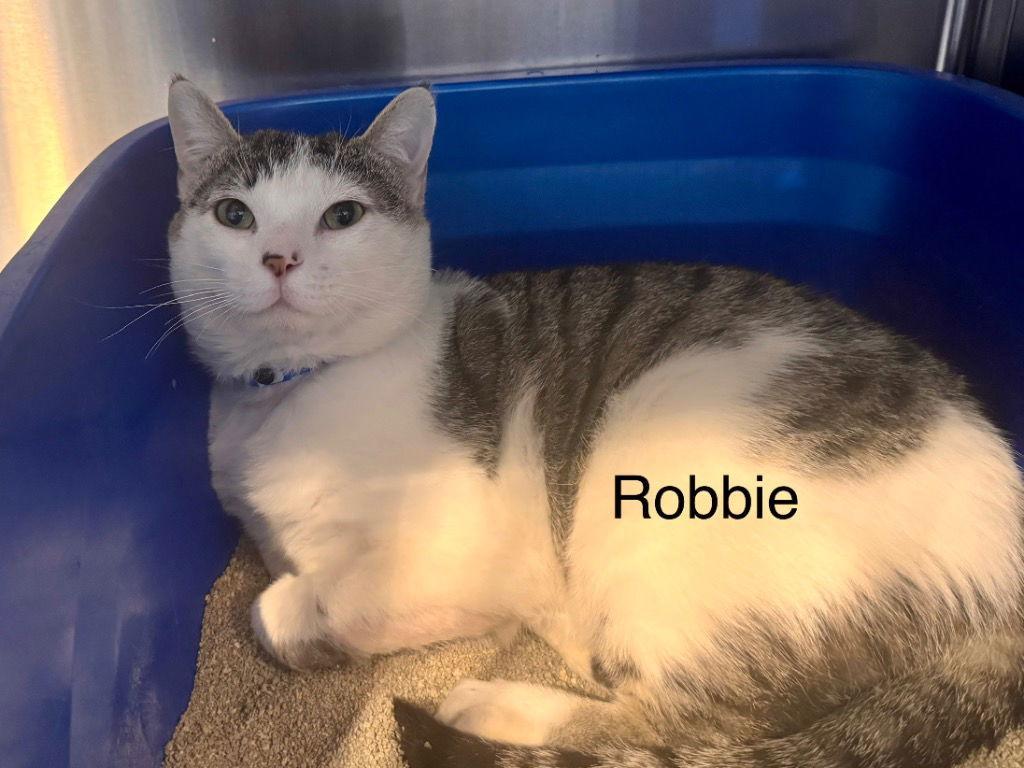 Robbie