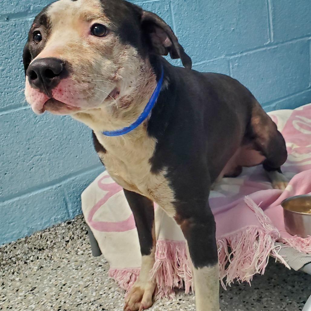 Hank Rutherford Hill