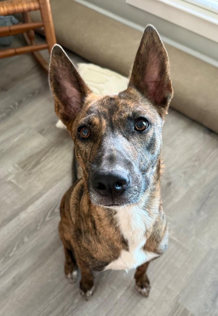 Faith Loves Snuggles