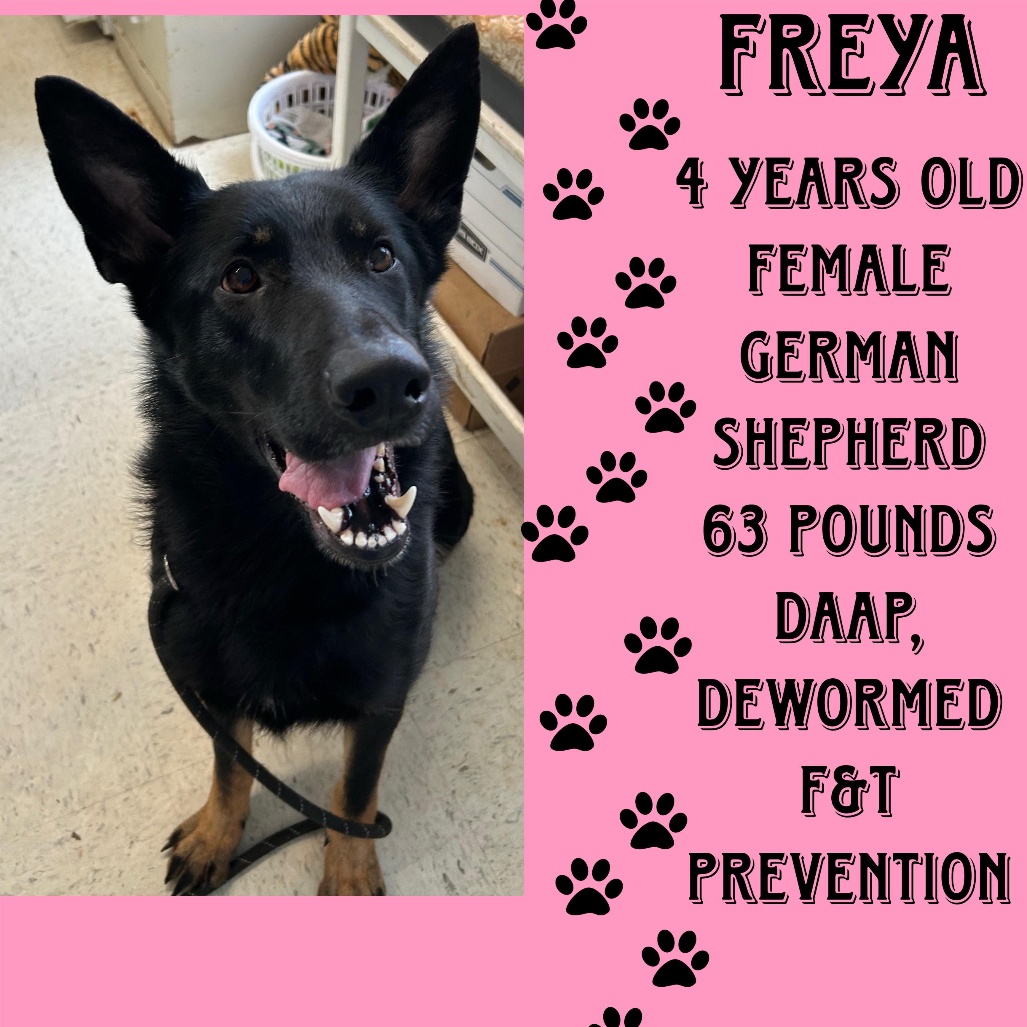 Freya