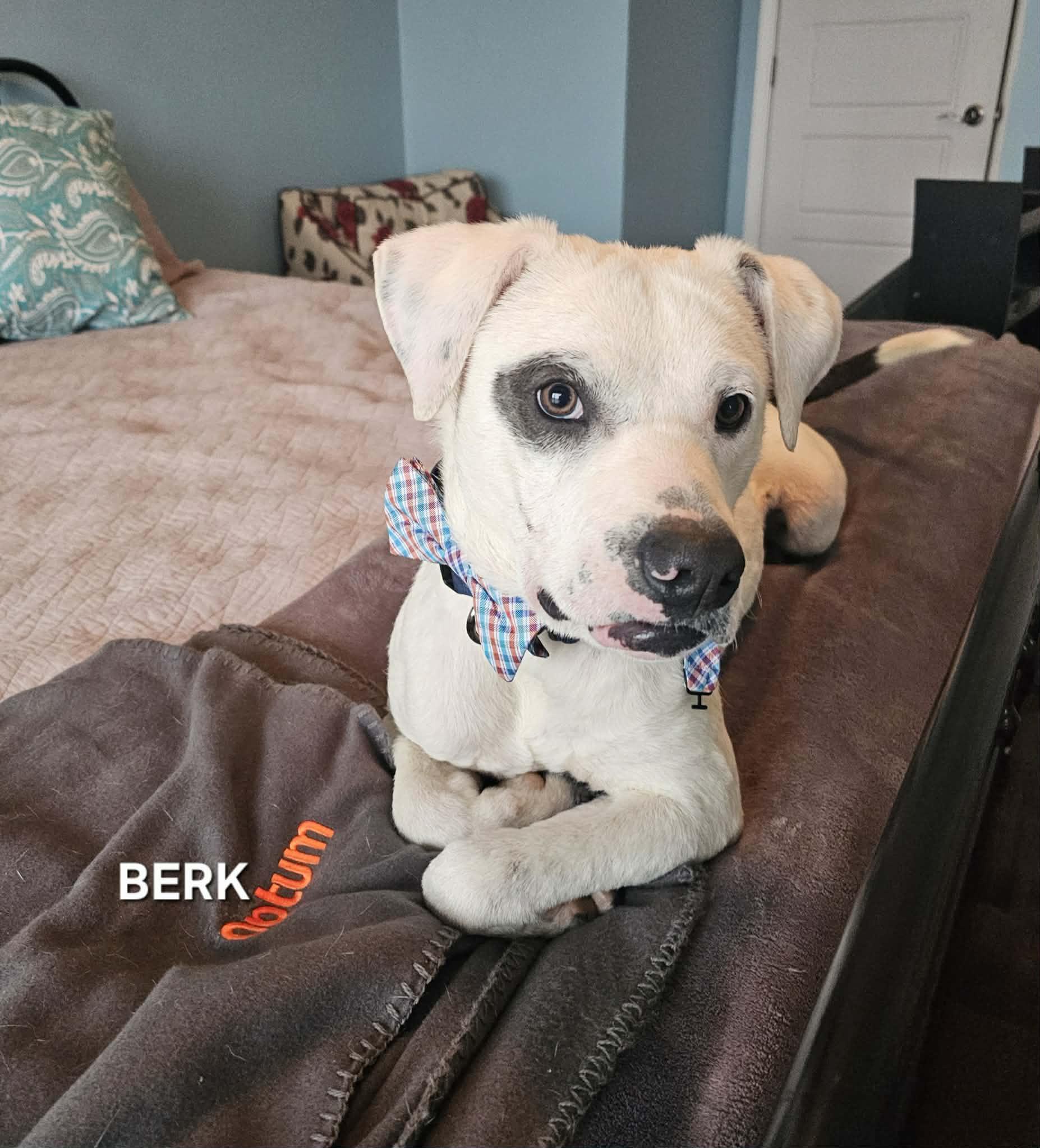 Berk
