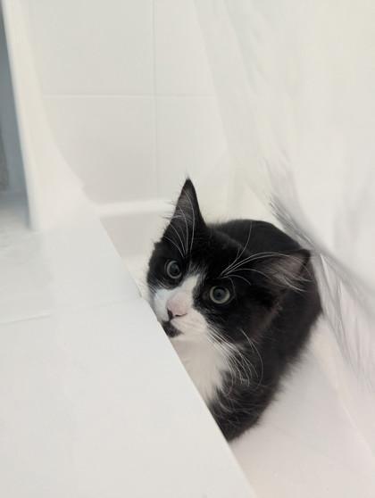 Buster At Petco Tatum