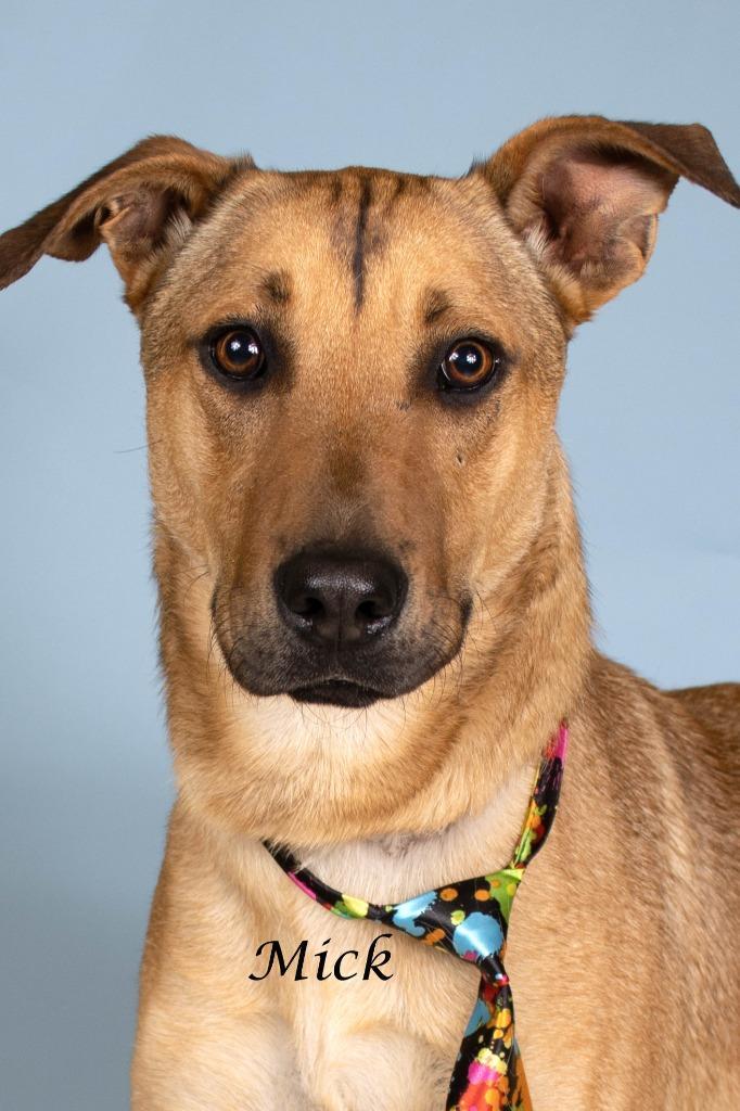 Mick