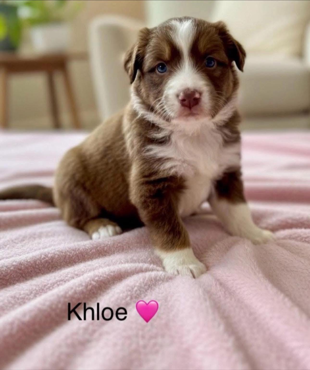 Khloe