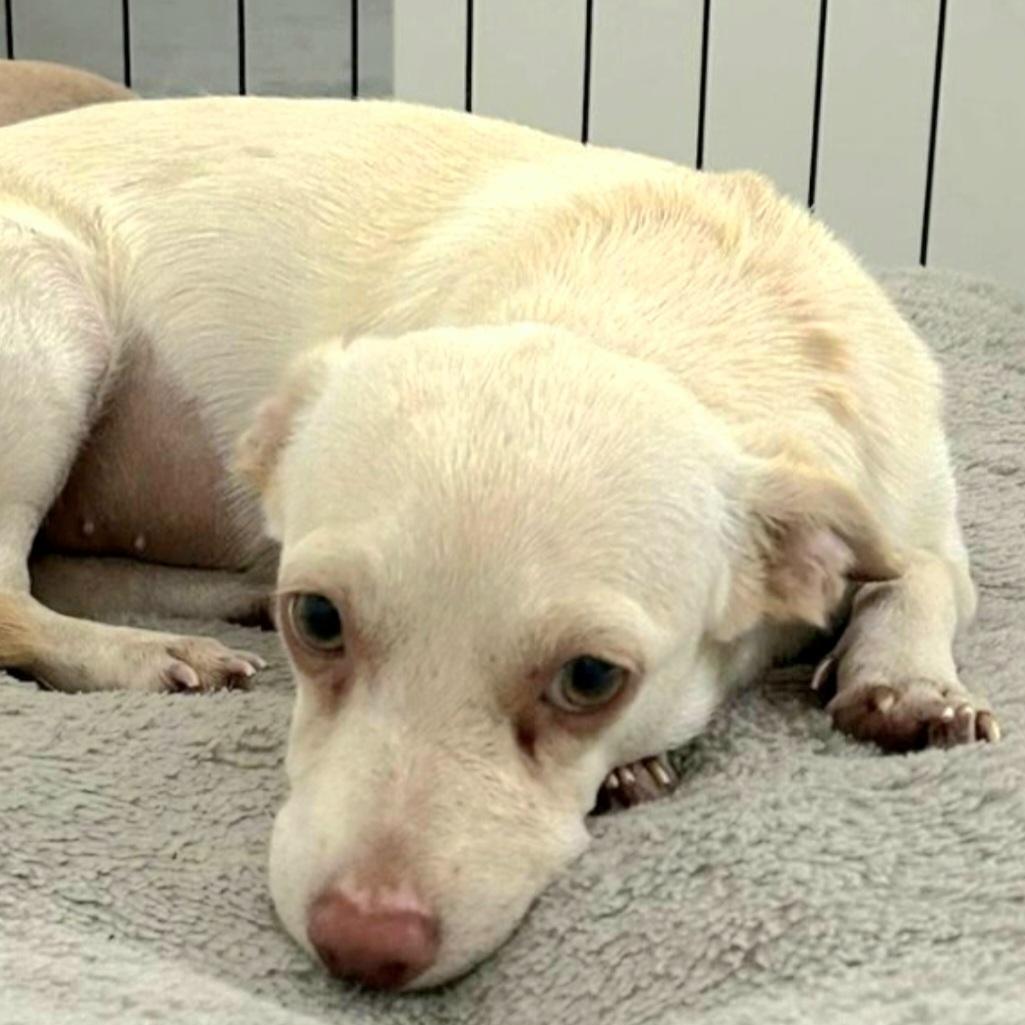 Mia Sofia "the Beach