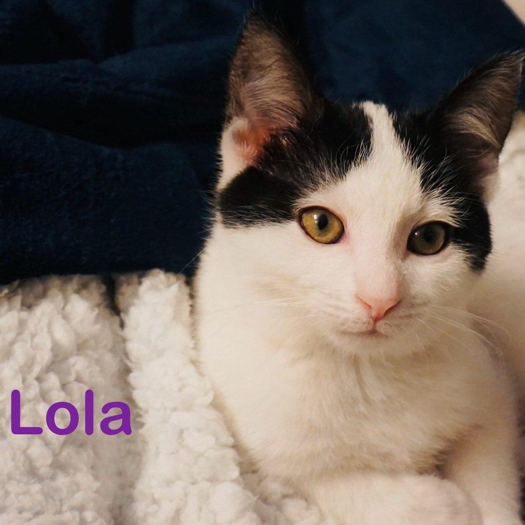 Lola Aw