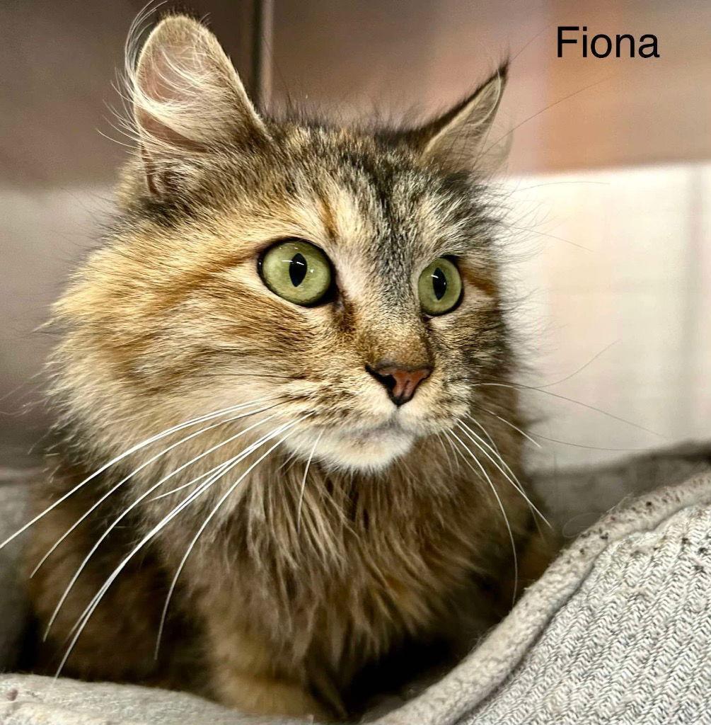 Fiona