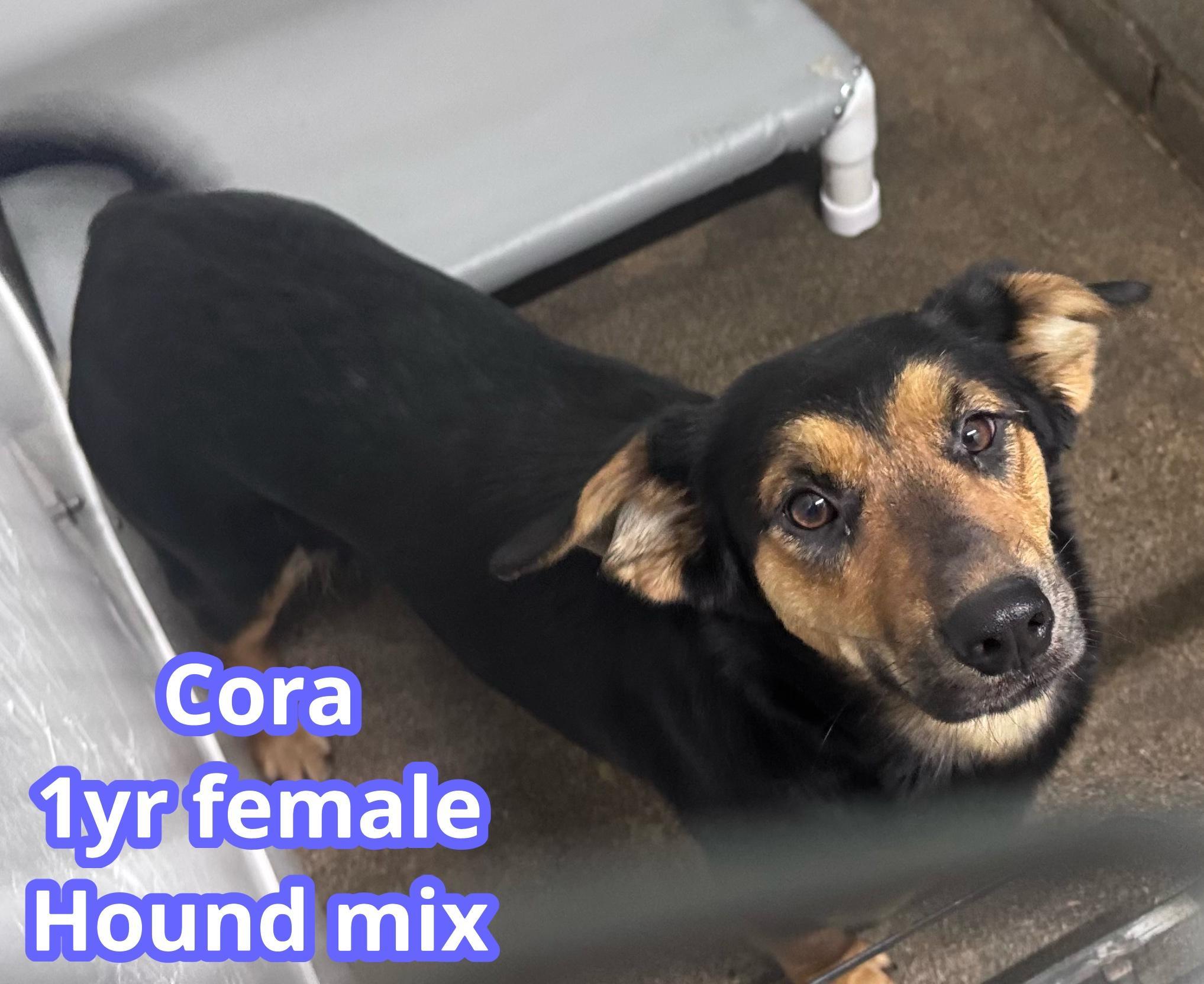 Cora