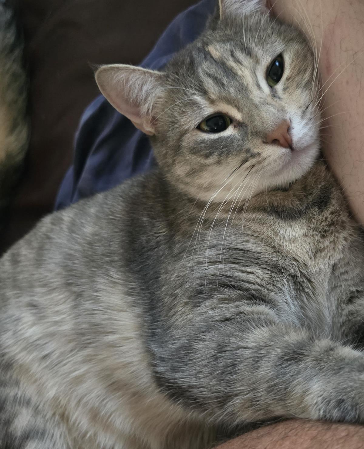 Ember Honeybun Bonded With