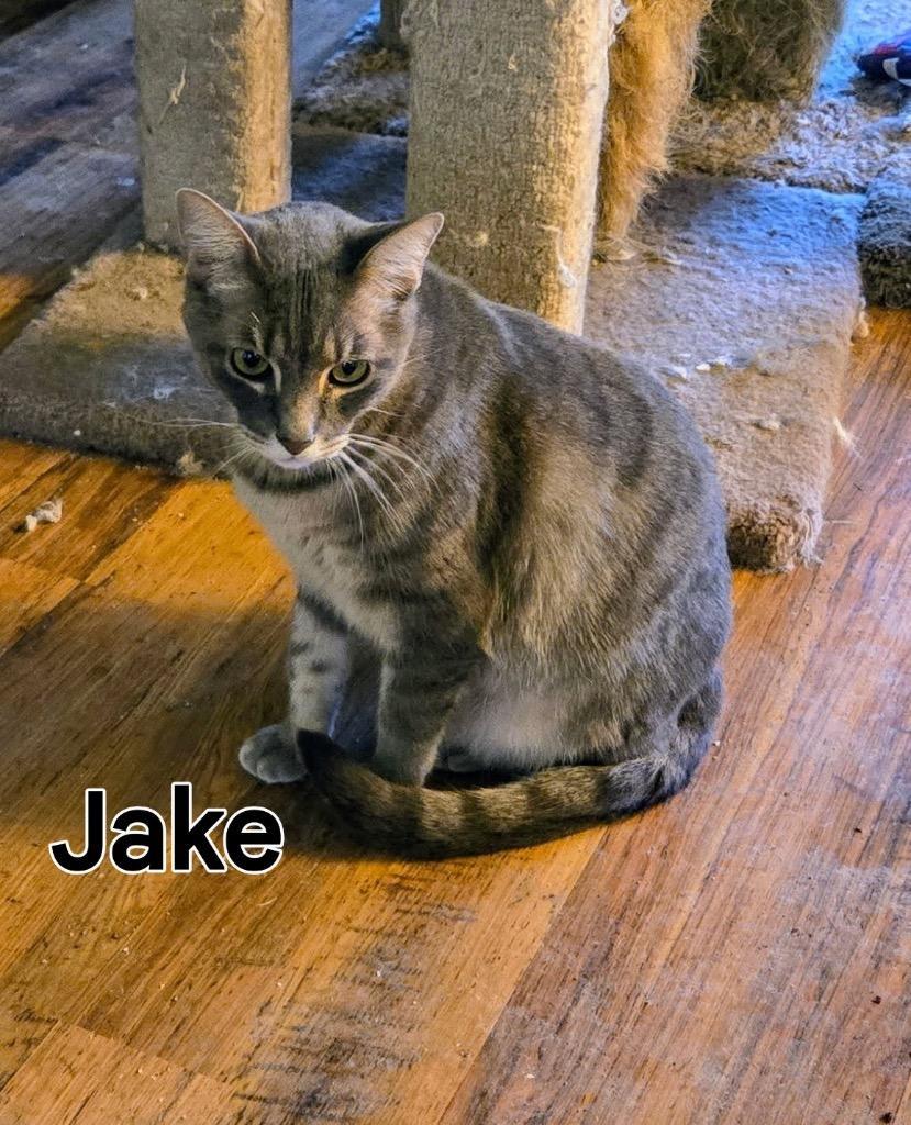 Jake