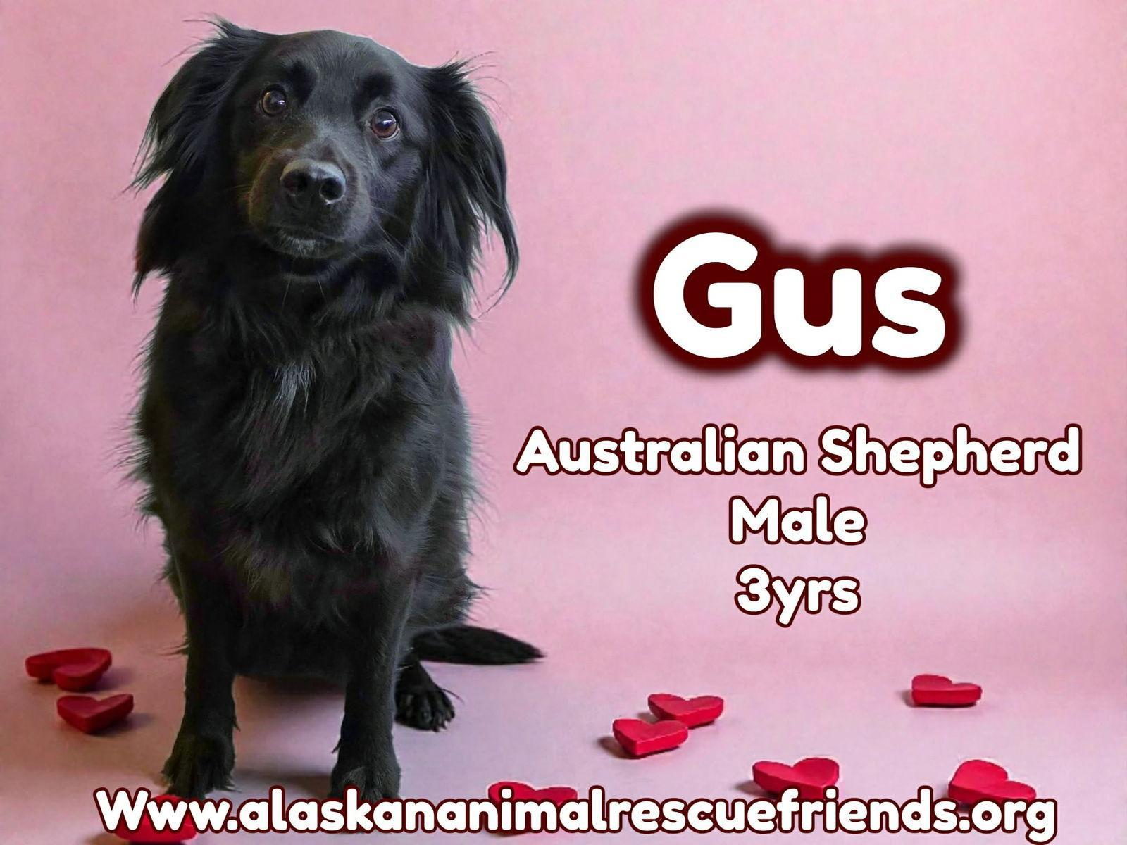 Gus