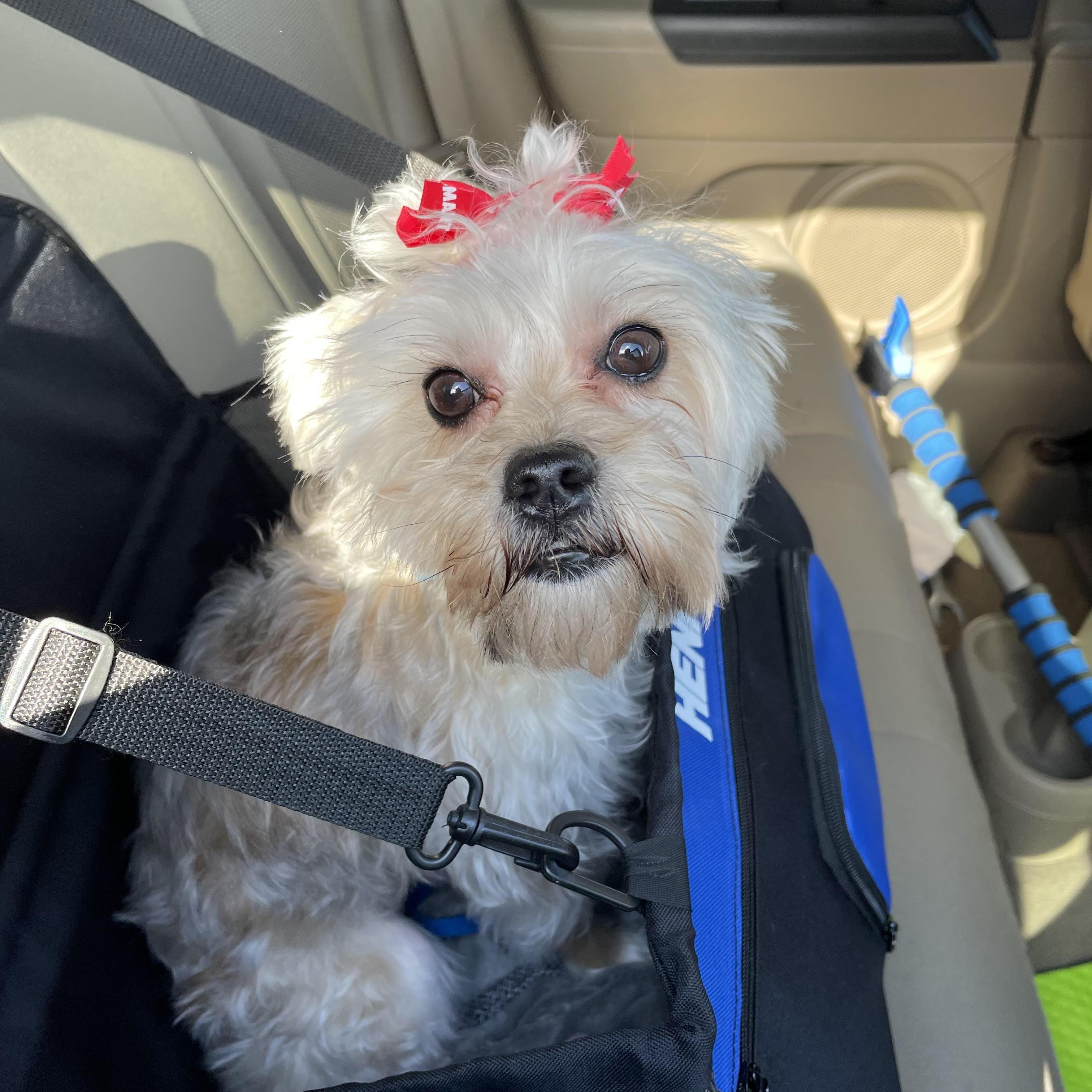 Tessa Courtesy Listing