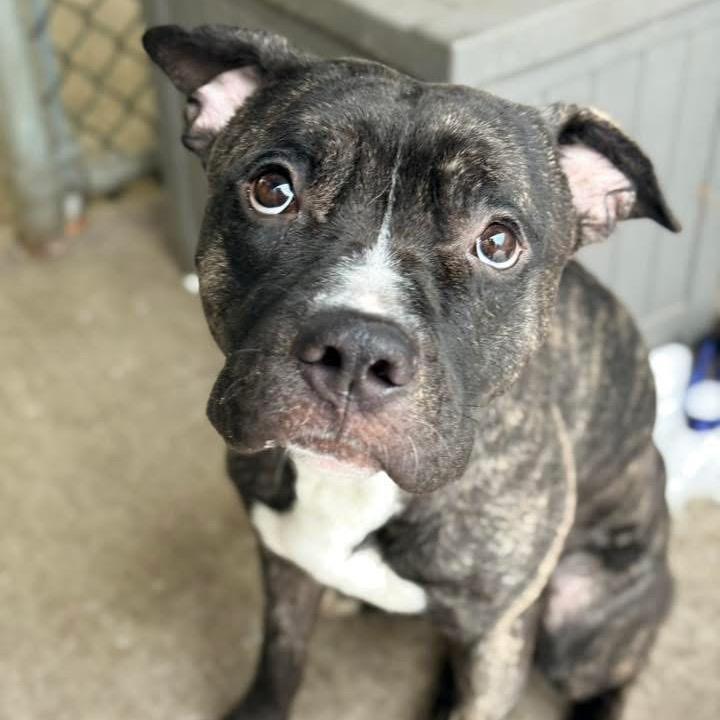 Duncan ~ Coming Soon!!!