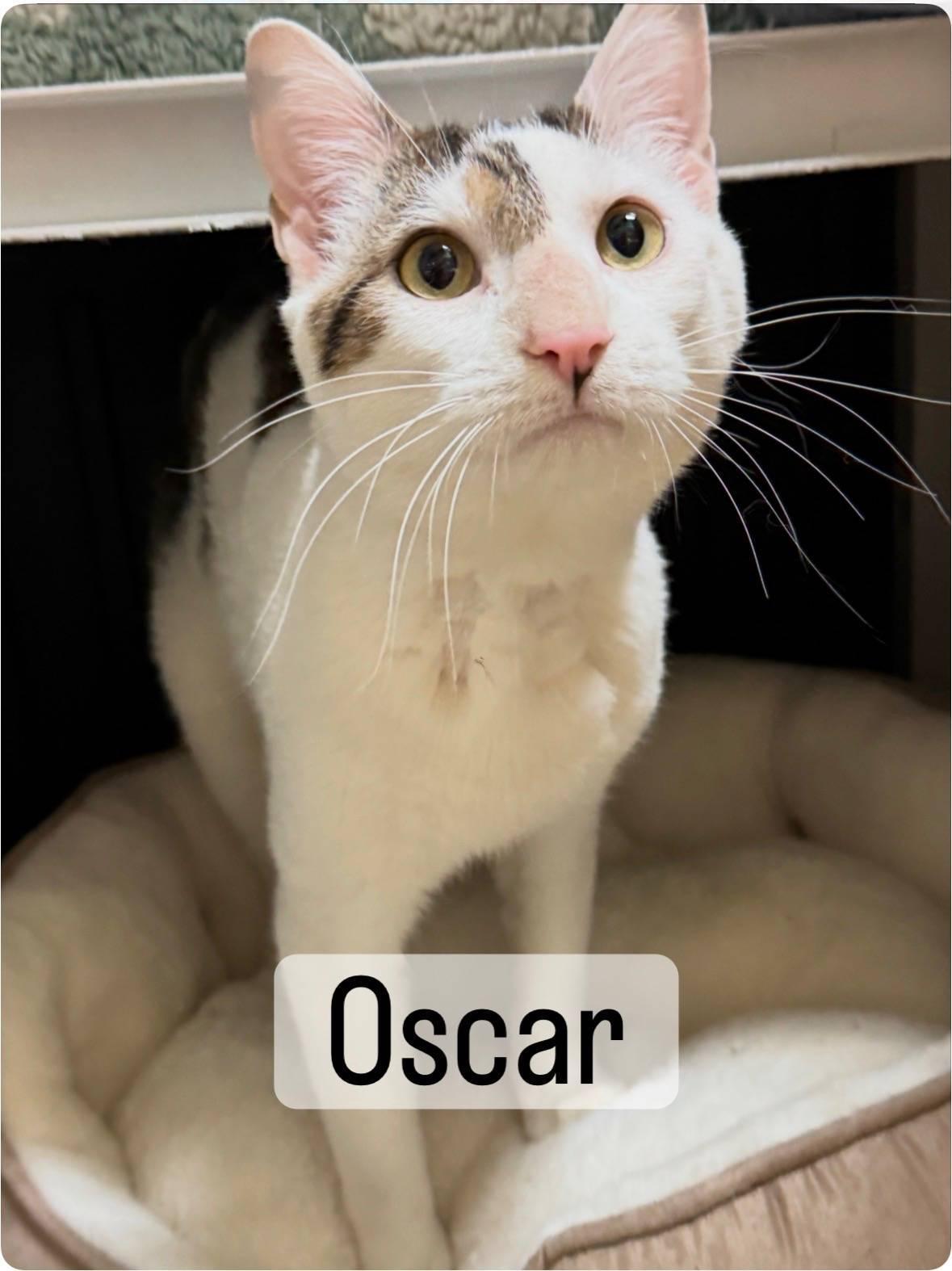Oscar
