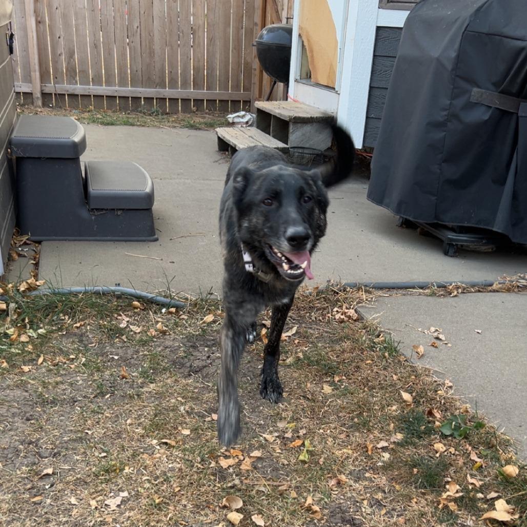 Spade Courtesy Listing