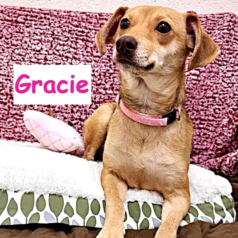 Gracie