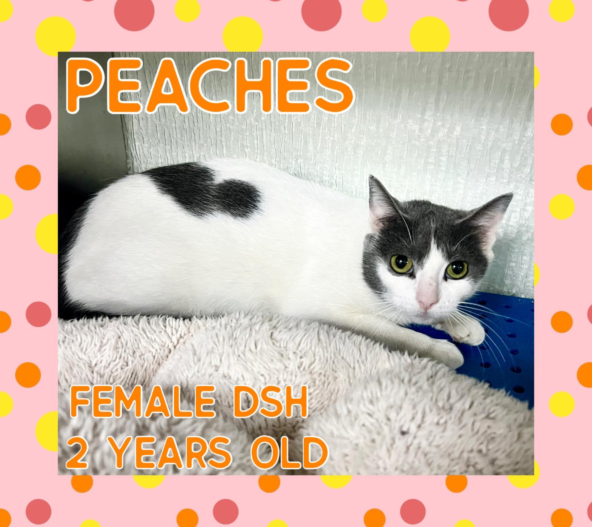 Peaches