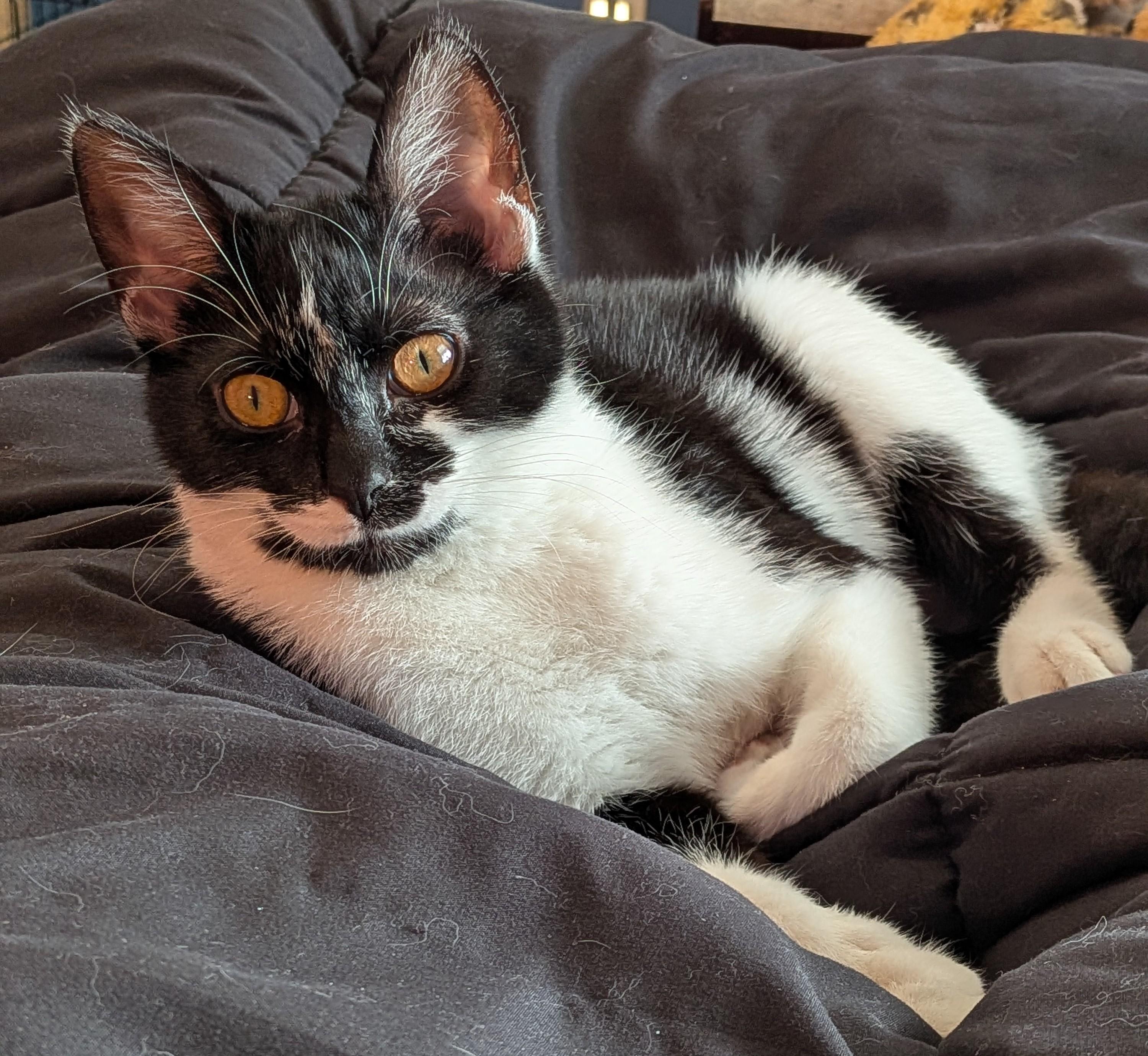 Moaning Myrtle Aka Mo