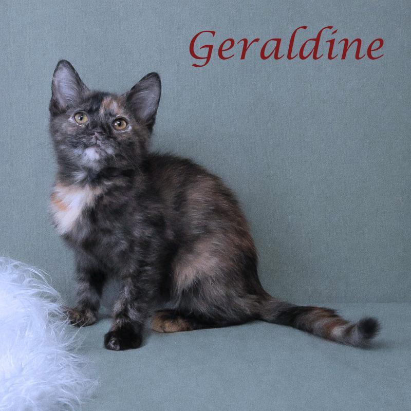 Geraldine C