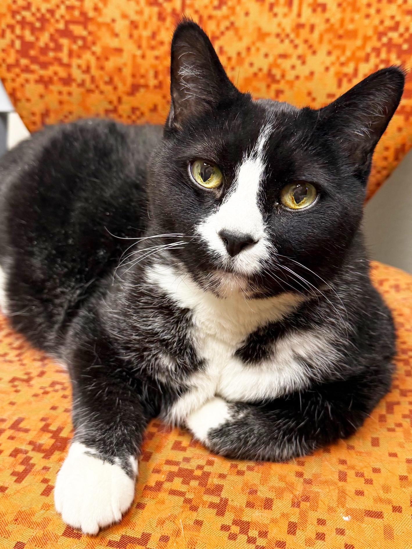 Benjamin Sooo Loving