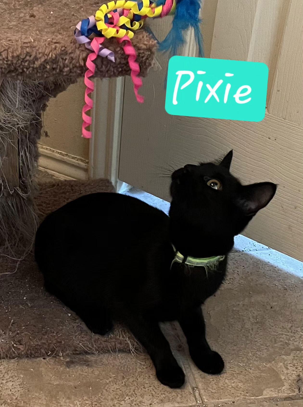 Pixie