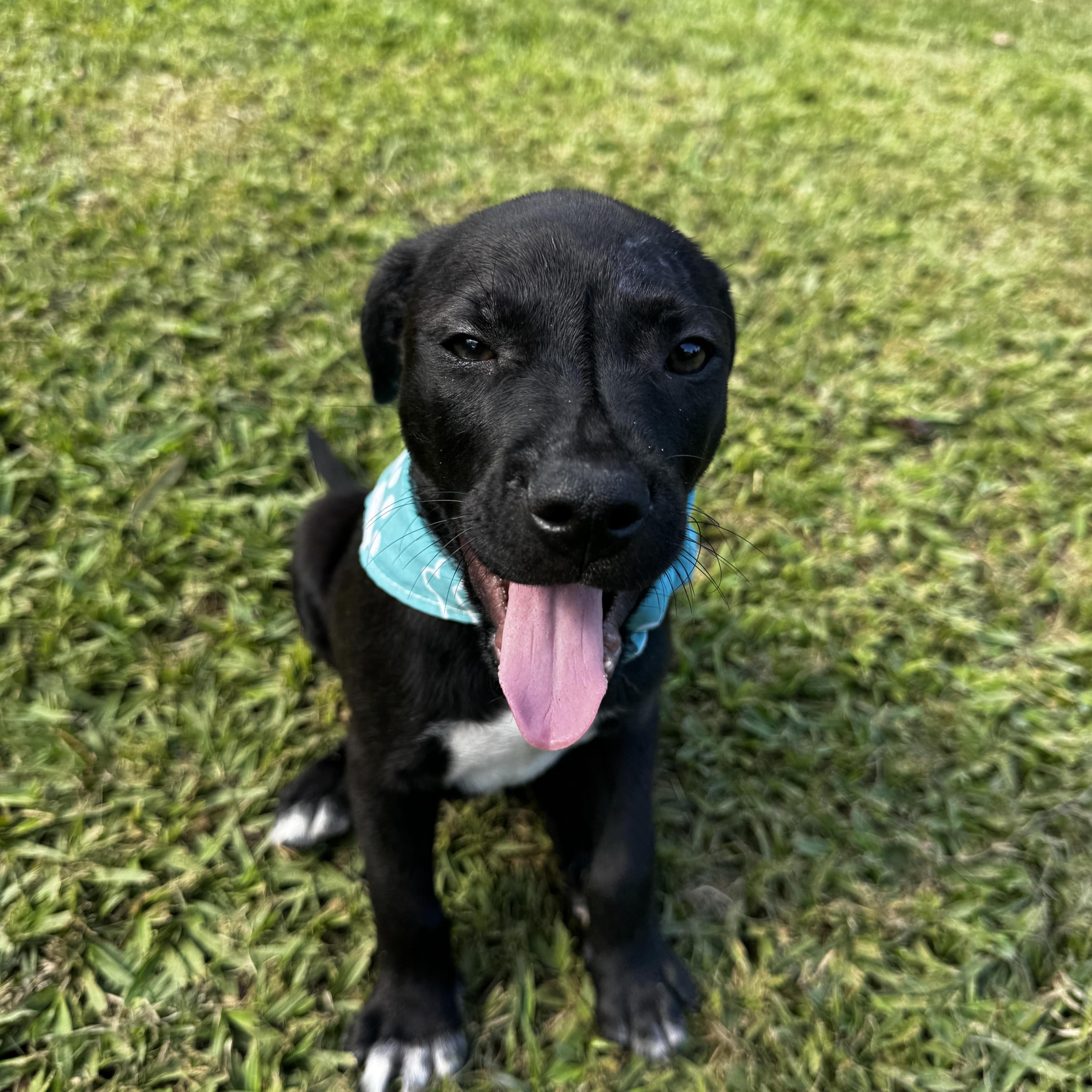 Cooper: Click On The