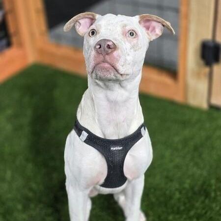 Flynn Family Fun Wanted