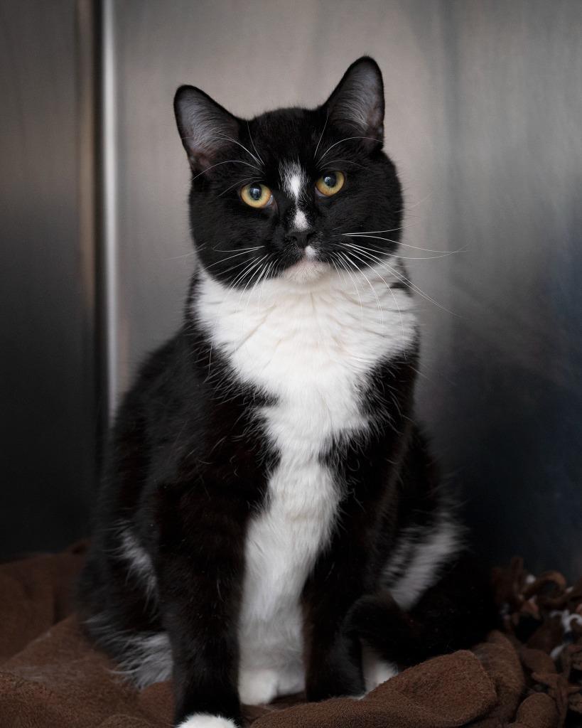 Sam Bonded With Sissy