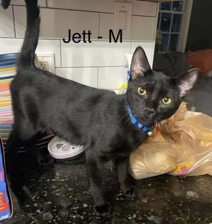 Jett