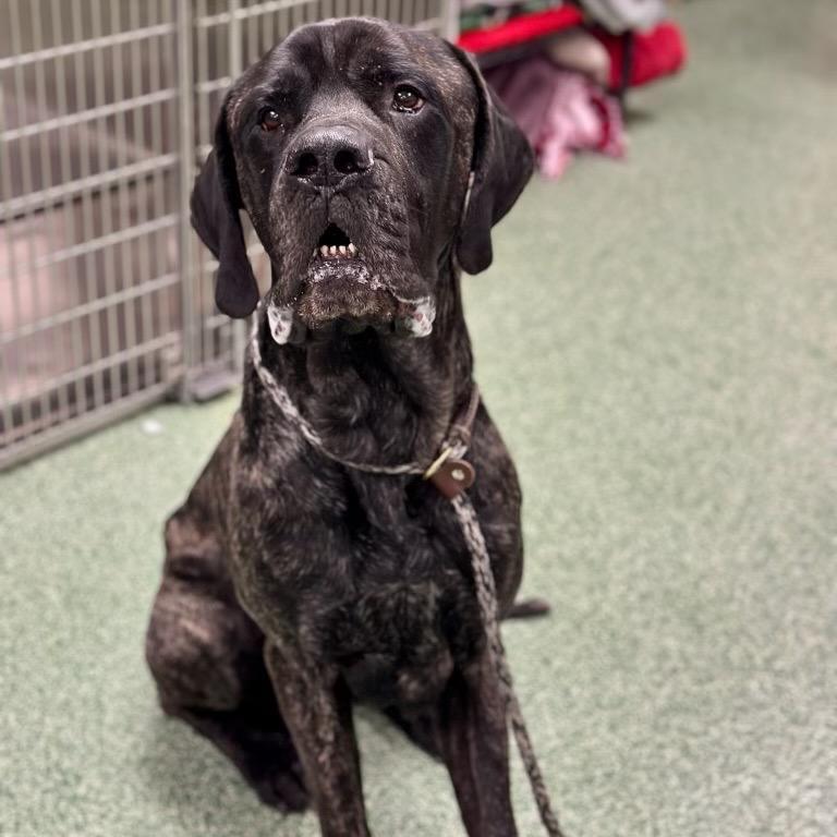 Reginald ~ Coming Soon!!!